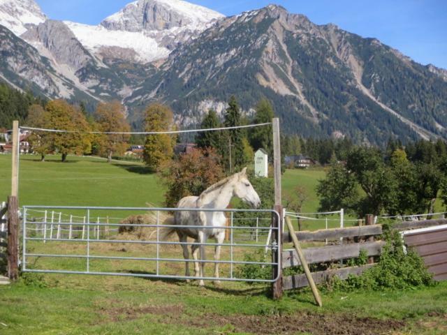Villa Landl Vorberg Ramsau am Dachstein Exterior foto